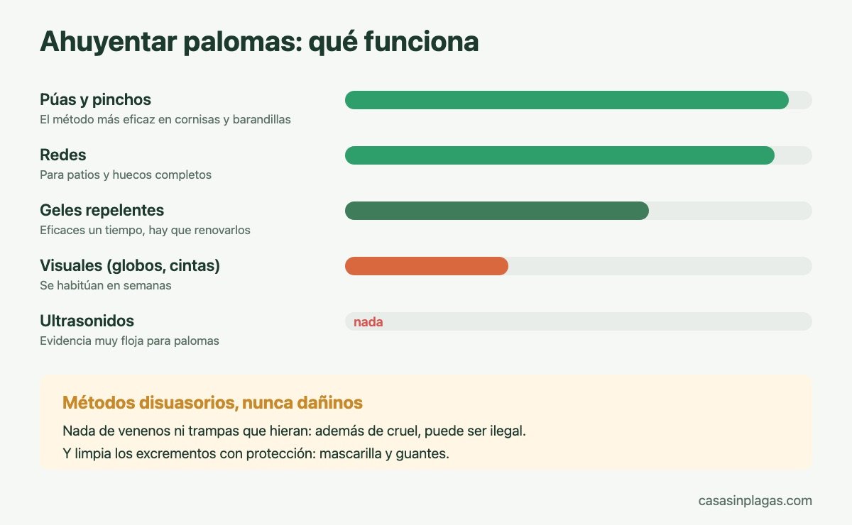 Qué métodos ahuyentan palomas de verdad