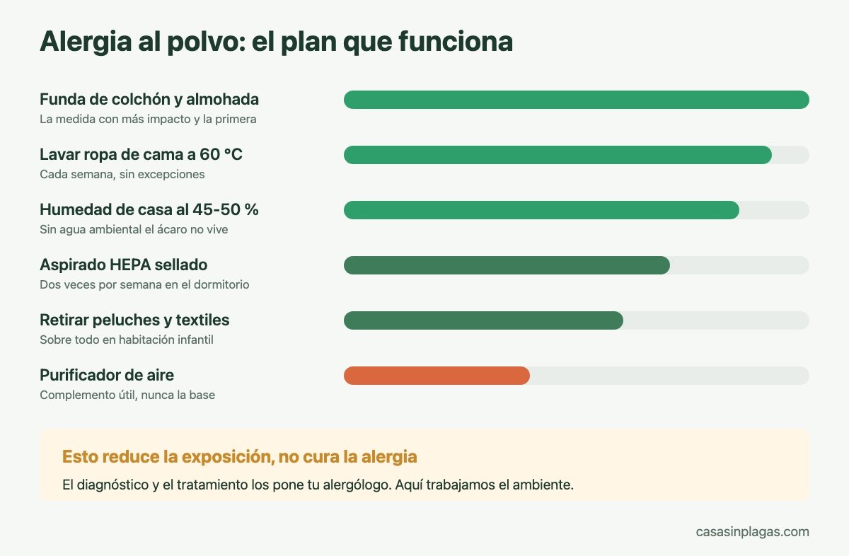 Plan de control ambiental para la alergia al polvo