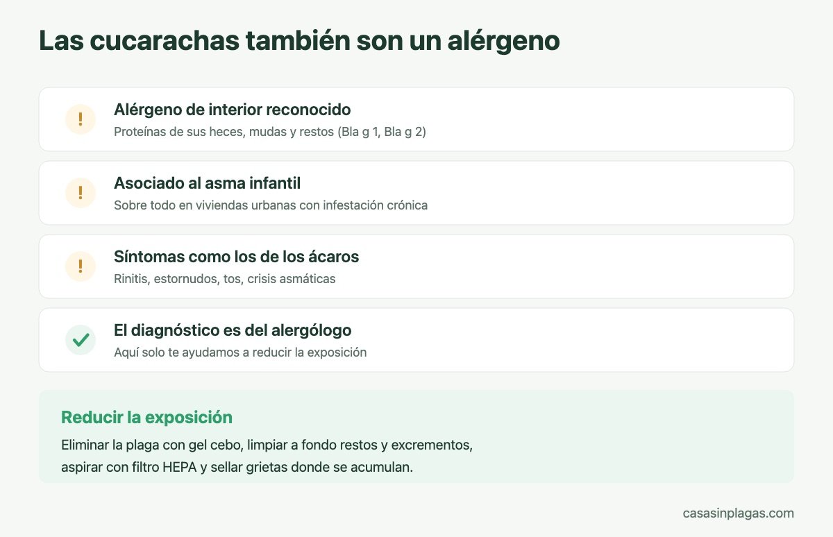 Las cucarachas como alérgeno de interior