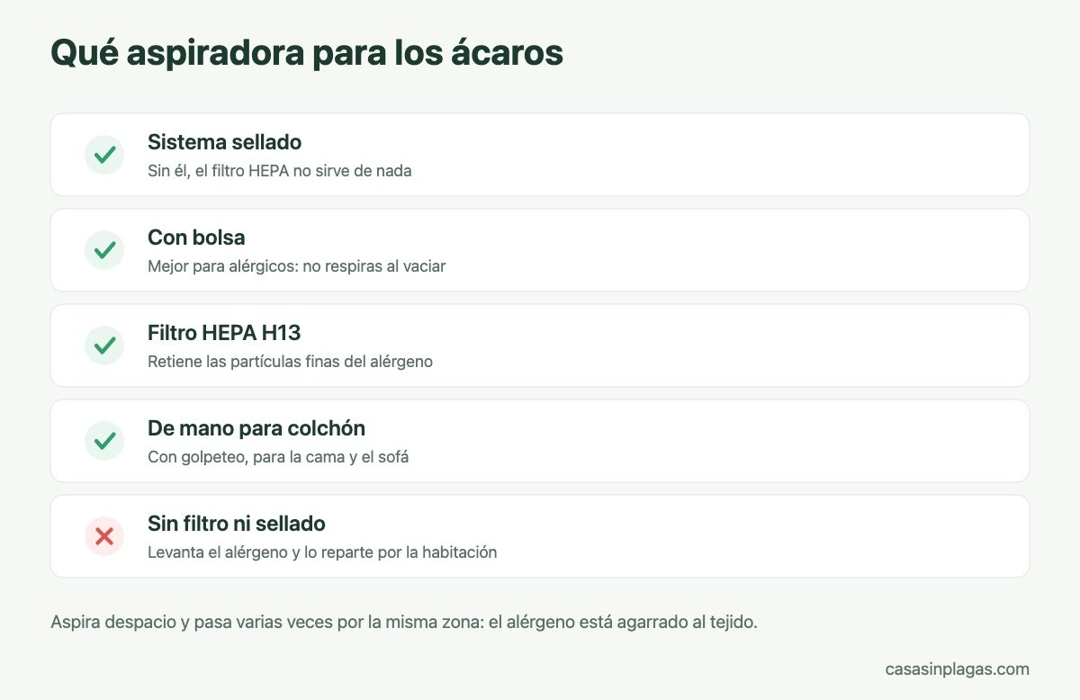 Qué aspiradora elegir contra los ácaros