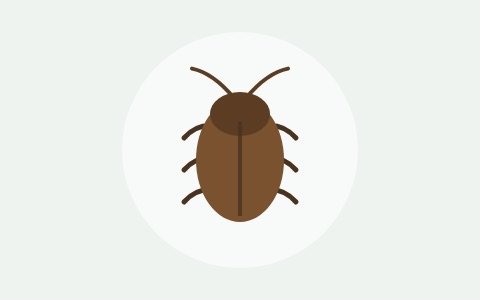 Ilustración de una cucaracha
