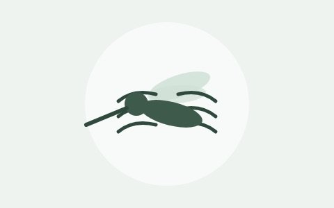 Ilustración de un mosquito