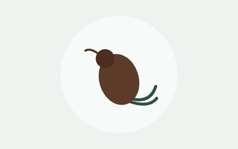 Ilustración de una pulga