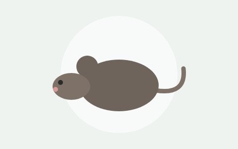 Ilustración de una rata
