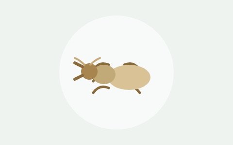 Ilustración de una termita