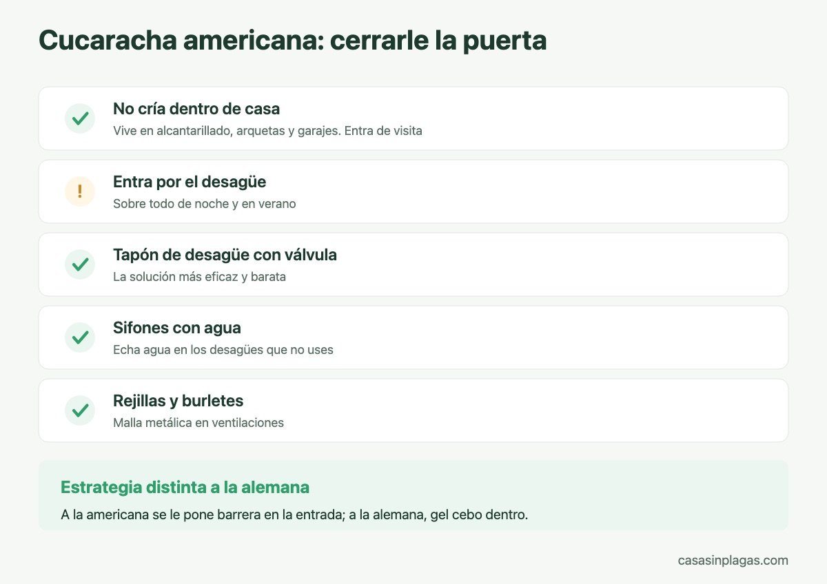 Cómo cerrar la entrada a la cucaracha americana