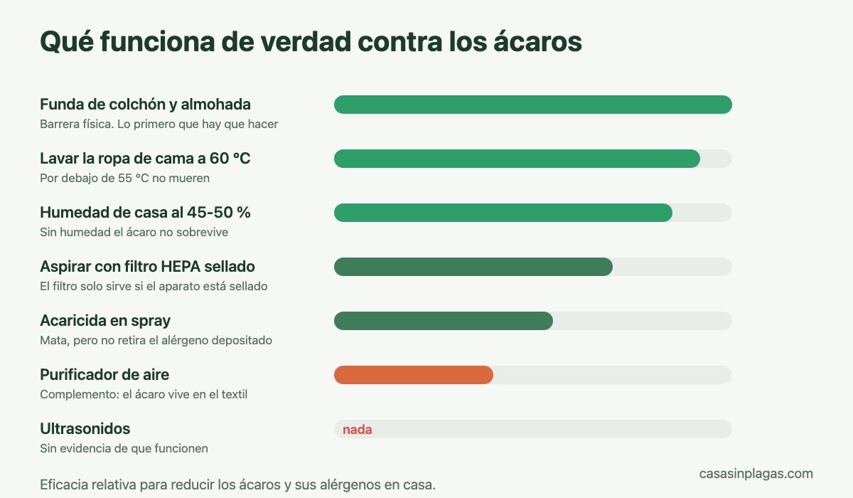 Qué funciona de verdad contra los ácaros: eficacia de cada método comparada