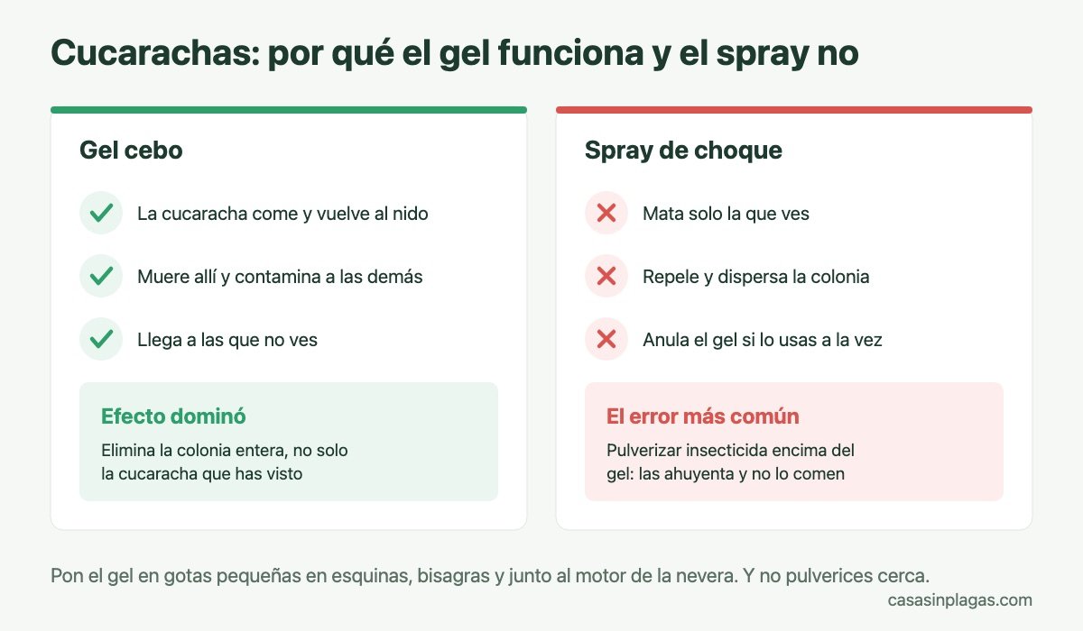 Gel cebo contra spray para cucarachas: por qué el gel funciona