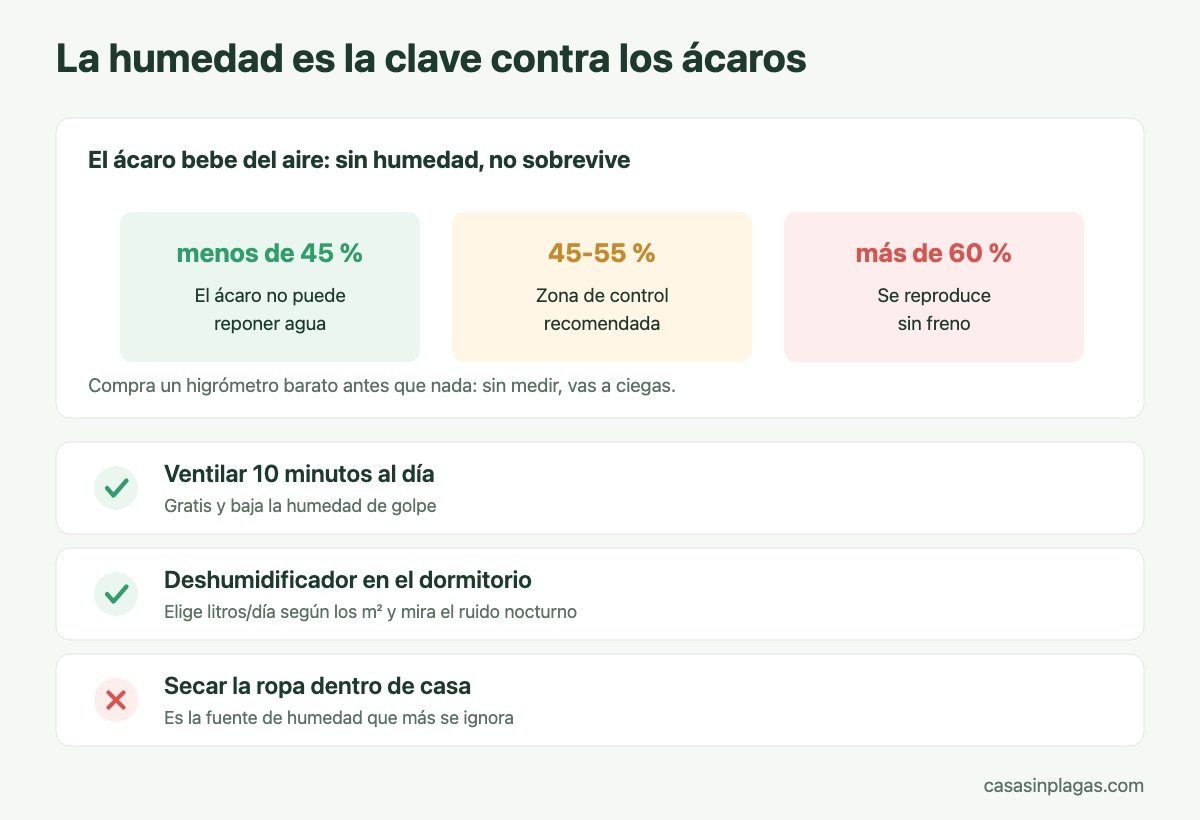 Niveles de humedad y supervivencia de los ácaros en casa