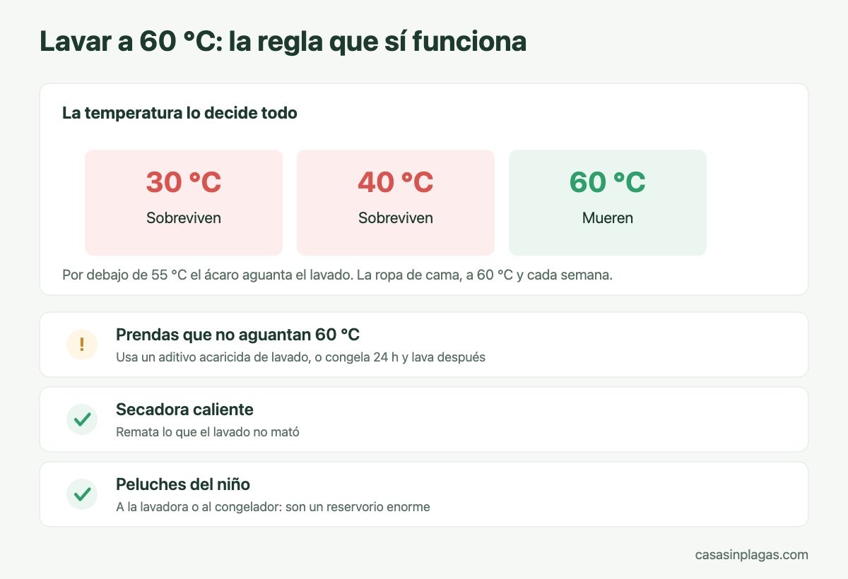 Los ácaros solo mueren lavando a 60 grados