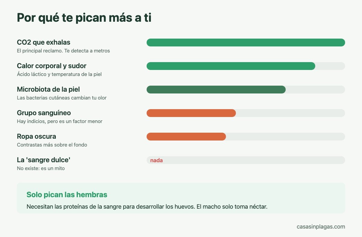Por qué los mosquitos pican más a unas personas que a otras