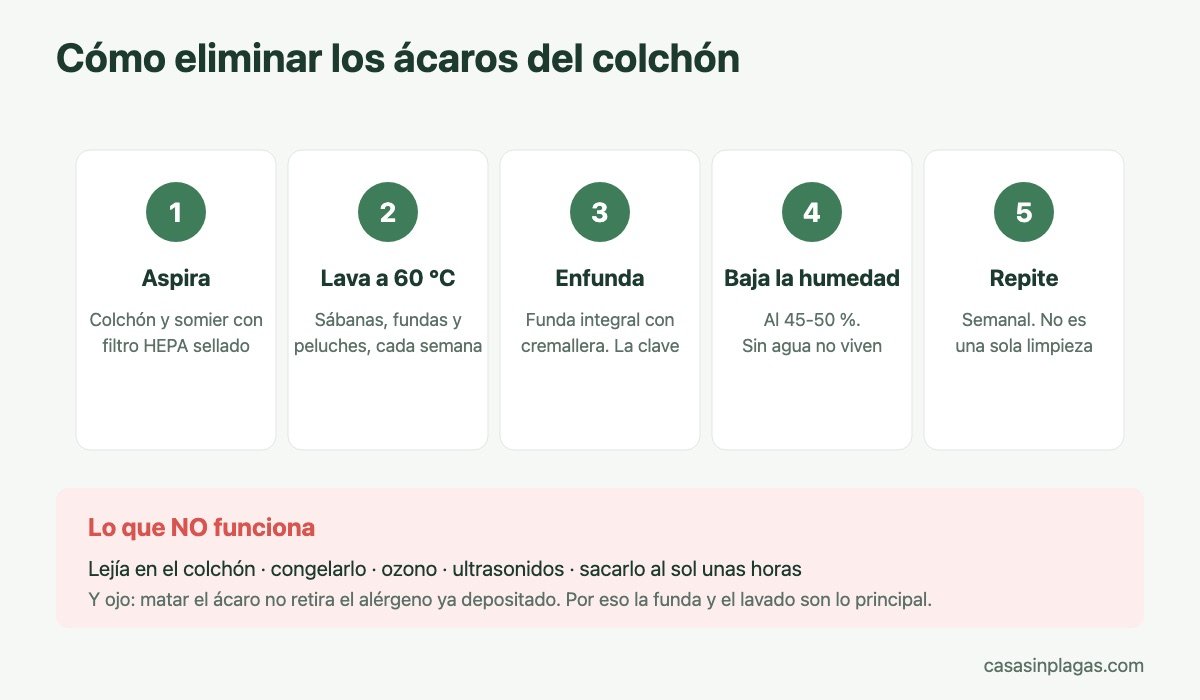 Plan paso a paso para eliminar los ácaros del colchón