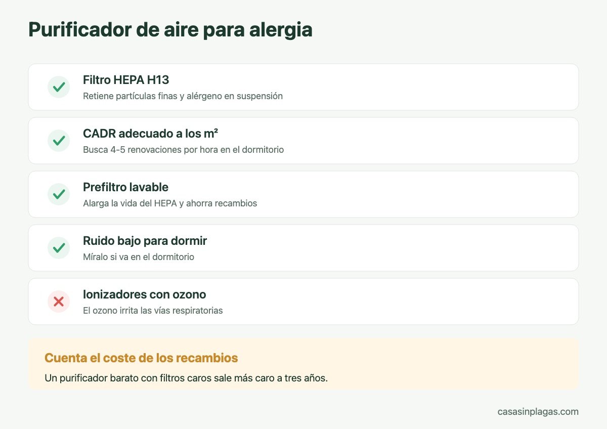 Qué mirar en un purificador de aire para alergia