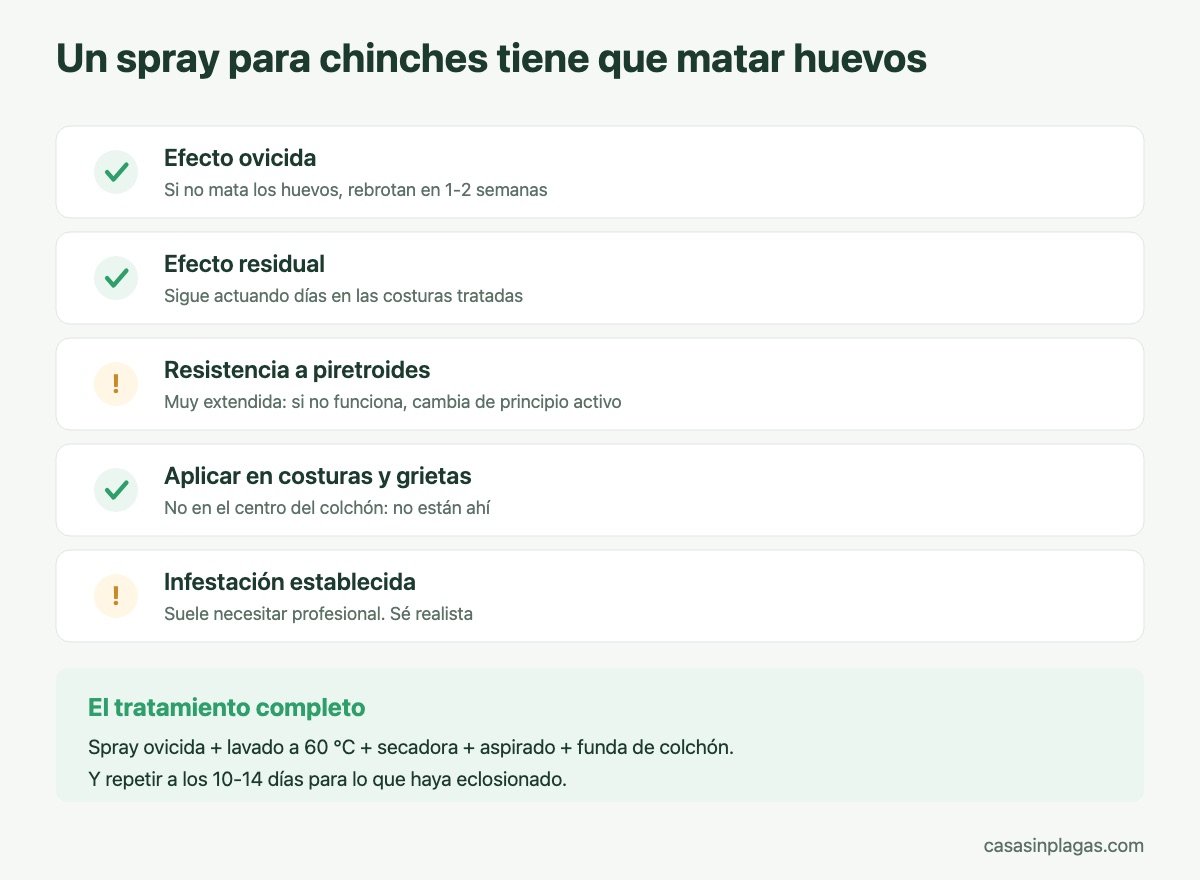 Un spray para chinches debe matar también los huevos