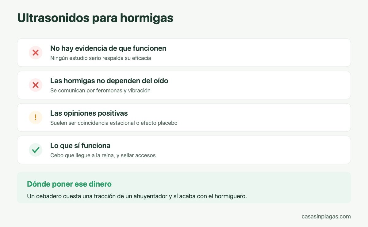 Los ultrasonidos no funcionan contra las hormigas