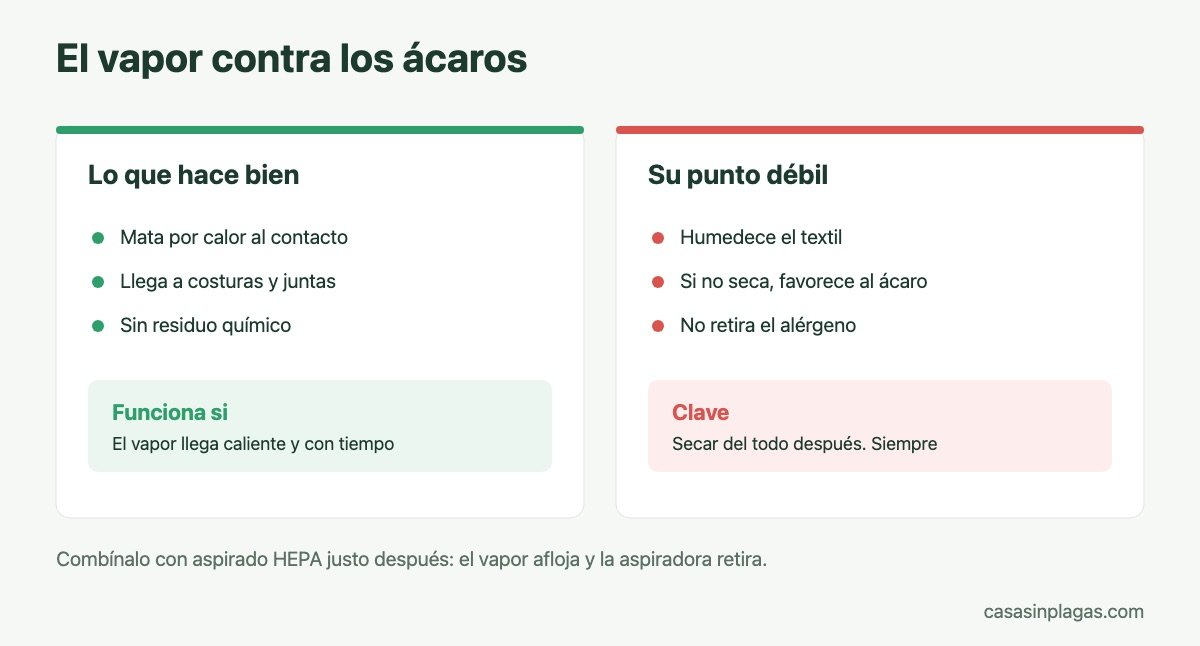 Qué hace el vapor contra los ácaros y cuál es su límite