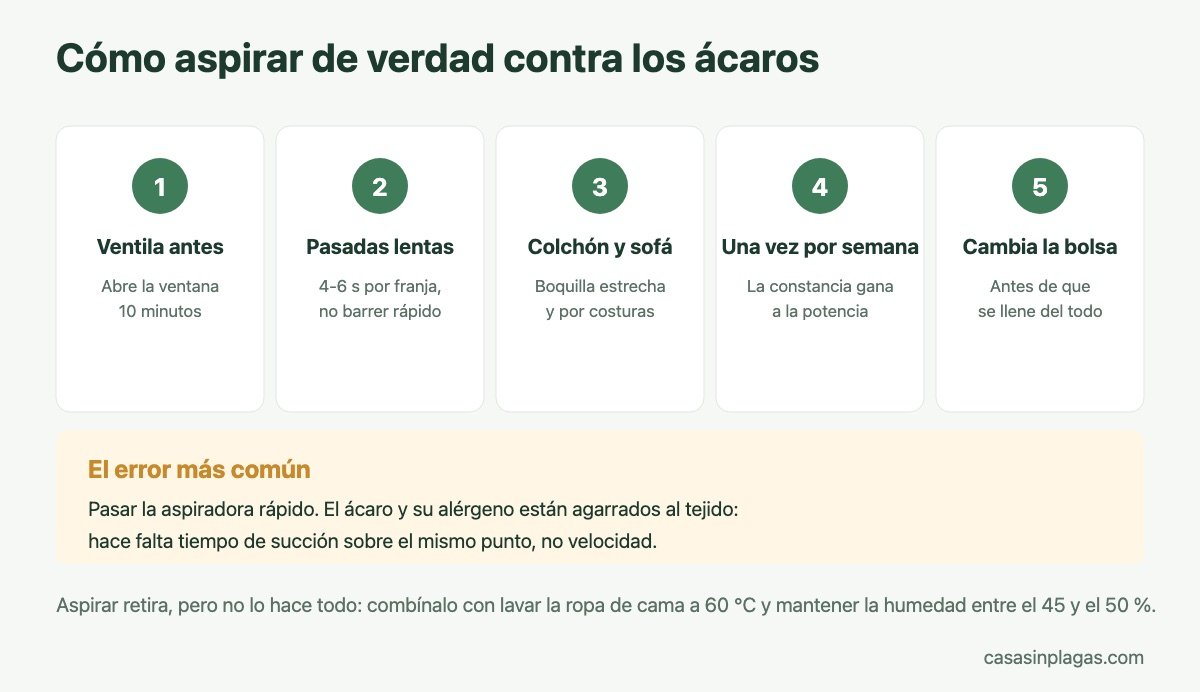 Pasos para aspirar correctamente contra los ácaros del polvo